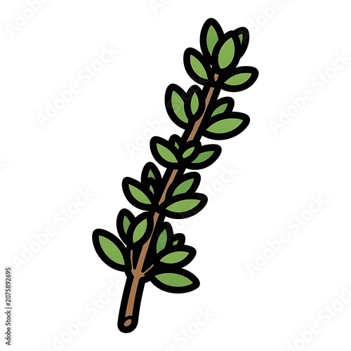 Vibrant green ivy leaves isolated on white background.