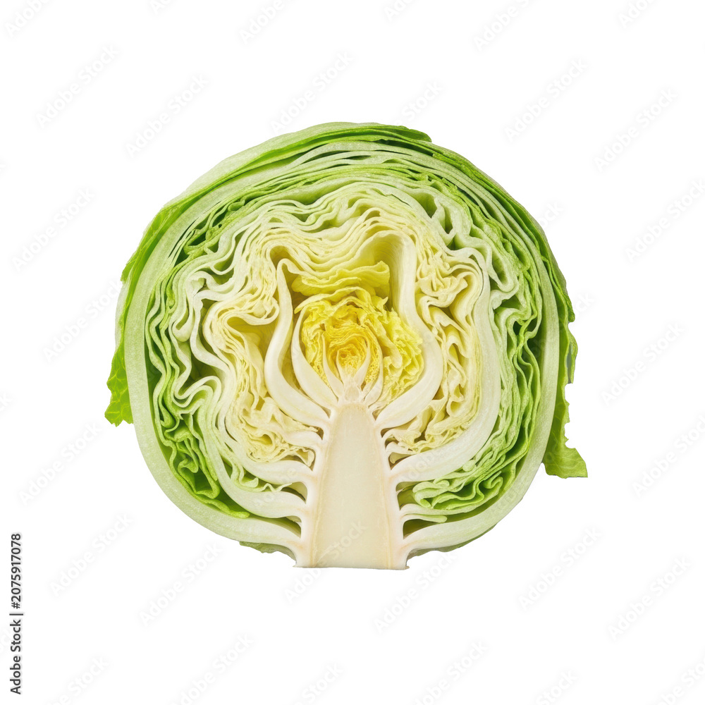 Fototapeta premium Vibrant, fresh iceberg lettuce, sliced horizontally, revealing tight layers, green to pale yellow, on a clean transparent studio background, top-down view Concept of healthy eating