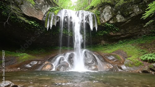 serene waterfall flowing in lush green forest nature scene 4k