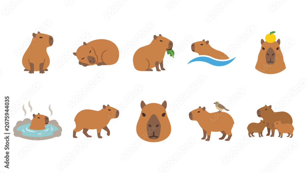 Obraz premium Cute capybara character set in various poses and activities