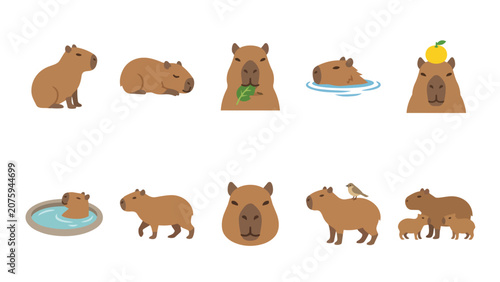 Photos Cute capybara illustration set with different poses and activities