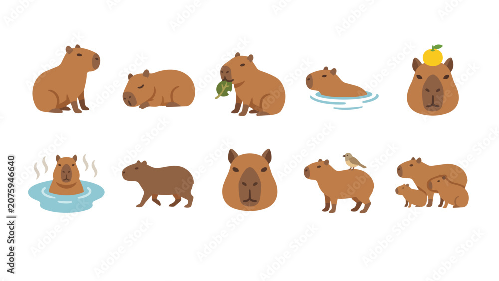 Obraz premium Cute capybara character set in different poses and activities