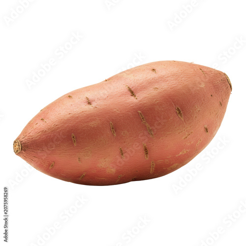 A whole, fresh, uncooked sweet potato with vibrant reddish-brown skin and natural textures, isolated on a transparent background with soft shadows and copy space, healthy eating concept