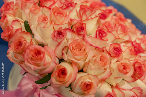 Stunning Vibrant Floral Bouquet Collection – Bright Colorful Flower Arrangement for Interior Decor and Lifestyle Photography