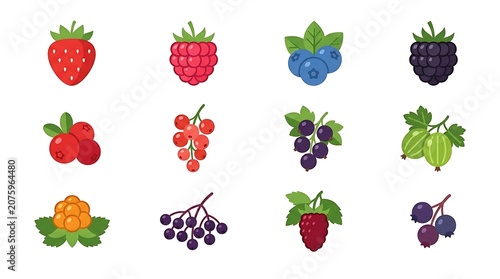 Colorful autumn leaves and berries illustration collection.