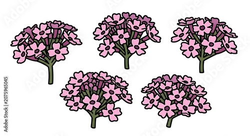 Close-up of blooming purple lilac flowers in cluster.
