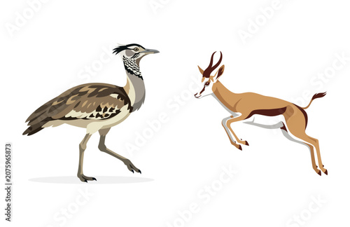 Bild auf Leinwand Kori Bustard and Springbok Running Together as African Savanna Wildlife Icons