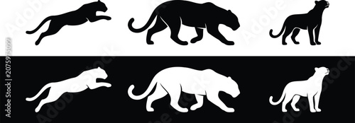 Photography Panther Silhouettes in Black and White – Leaping, Walking, Standing Poses for Wi