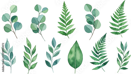 Watercolor green leaves and fern foliage collection isolated on white background for botanical design and wedding stationery