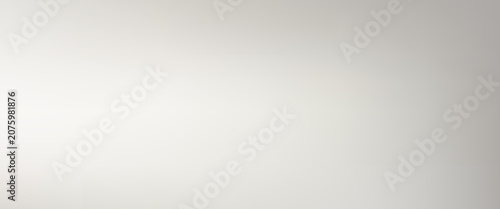 Canvastavla Smooth pearl grey gradient background
