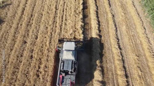 Drone Aerial View of Combine Harvester Harvesting Wheat Field in Summer, Agricultural Production, Rural Landscape, Golden Grain Harvest, Farming