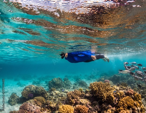 Underwater scene with tropical fish and coral reef.