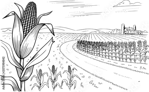 Foto Black and white line of a corn field with a farmhouse and silos in the backgroun