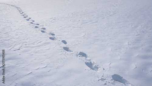 Bild auf Leinwand Step on snow covered ground