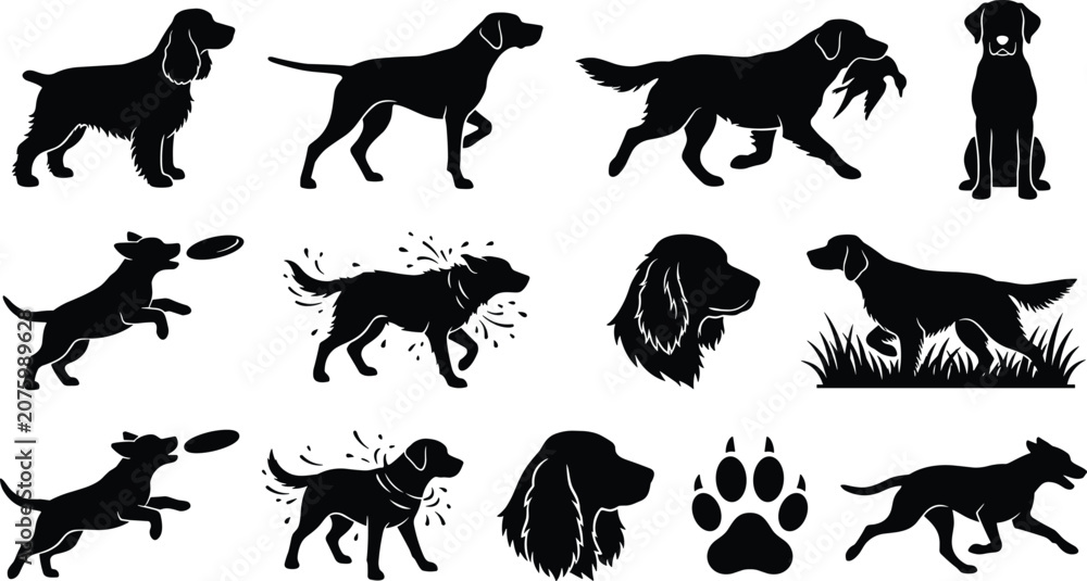 Obraz premium Hunting Dog and Retriever Silhouette Icon Set Featuring Breeds in Action Catching Prey Running Jumping Shaking Water and Paw Print Graphics