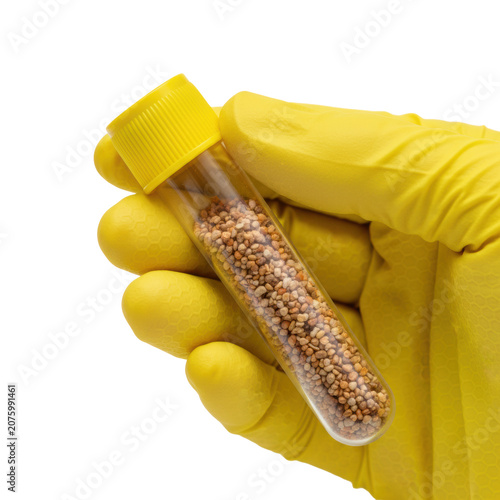 Human hand in a yellow nitrile glove holding a plastic test tube containing granular organic earth samples against a stark white background. Clinical research concept
