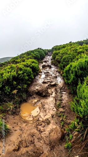 Serene mountain landscape with winding dirt path and lush greenery.