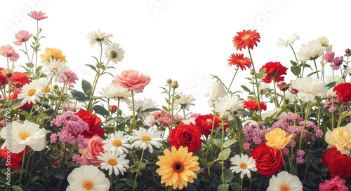 A vibrant assortment of colorful spring flowers arranged against a deep black background