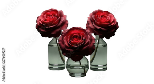 Three elegant deep red roses resting in individual clear glass laboratory bottles