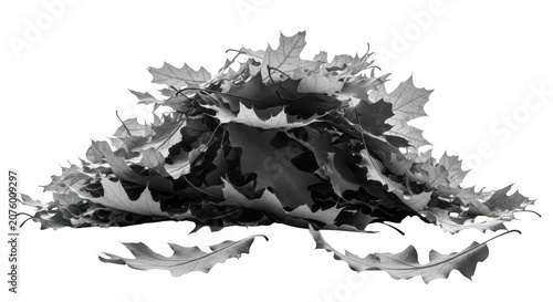 A monochromatic pile of dried oak leaves isolated against a black background