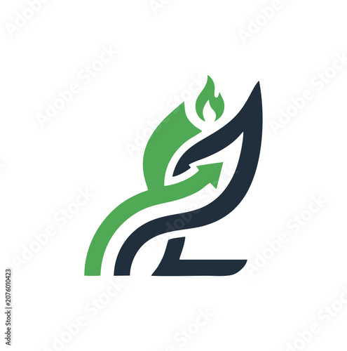 Professional and modern fire flame leaf logo for energy brand.