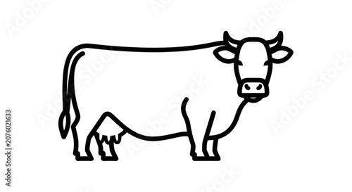 Black and white cow standing still.