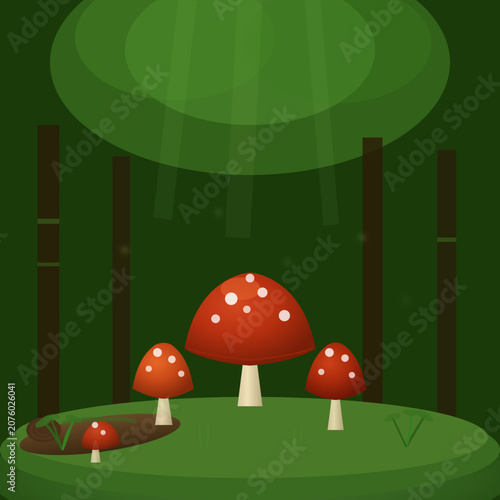 Red mushrooms grow in forest clearing with green grass