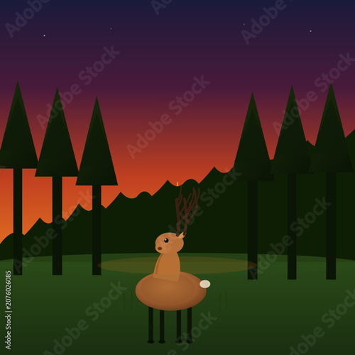 Deer standing alone in forest at sunset with trees