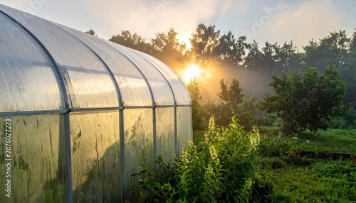 Golden sunset over green field with greenhouse and trees.