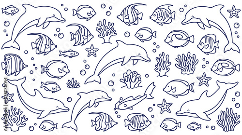 Photography Sea life doodles, collection of marine animals, fish, dolphins, corals, starfish