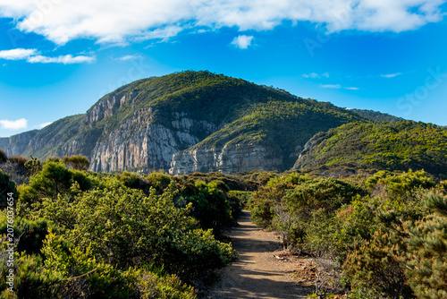 Schilderij op canvas Walking Track in Cape Raoul - Tasmania