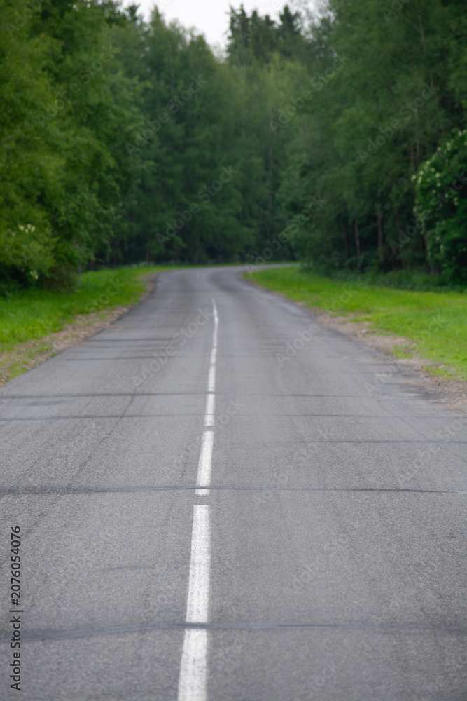 Obraz premium Two lane country road stretching into a forest, outdoors, travel direction, journey concept, navigation idea, freedom theme.