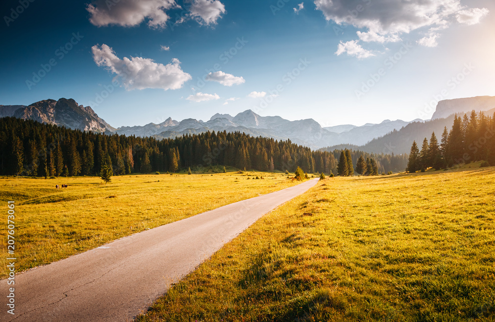 Fototapeta premium An alpine road leading into the distance to the peaks. Location place National park Durmitor, Montenegro, Europe.