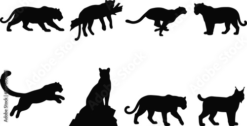 Photography Big Cat Silhouette Set Collection with Panther Leopard Lynx Puma and Wild Feline