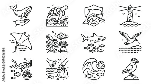 Photography Sea creatures and birds illustrations.