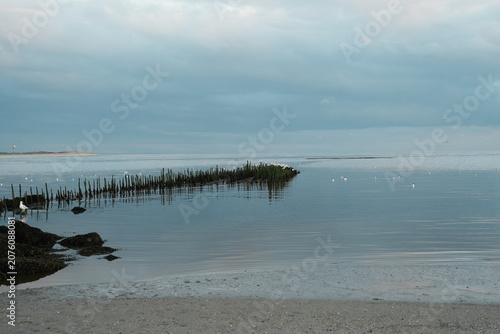 Картината върху платно Soirée calme sur la plage à Berck-sur-Mer dans le Pas-de-Calais en France