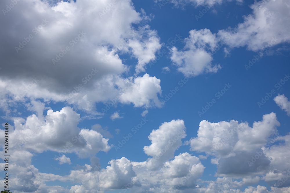 Obraz premium Panoramic View of Blue Sky with Impressive Cumulus Cloudscape. Beautiful dramatic blue sky with large white cumulus clouds before summer rain. Natural cloudscape with dynamic formations