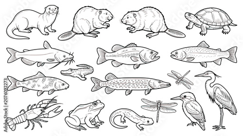 Foto Freshwater animals line art collection, 18 river wildlife vector icons, black an