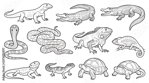 Bild auf Leinwand Reptile and amphibian line art collection, 11 wild animal vector icons, black an