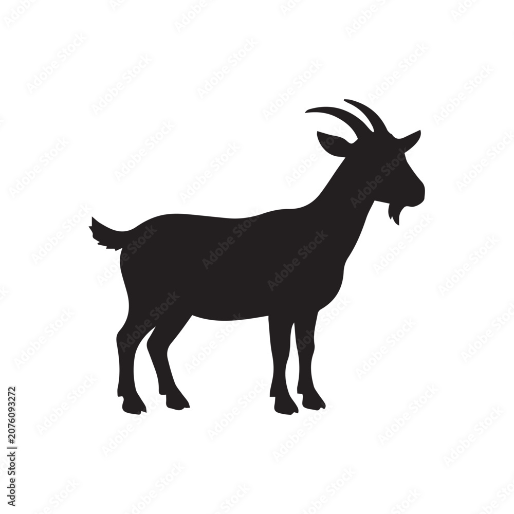 Fototapeta premium goat on white background