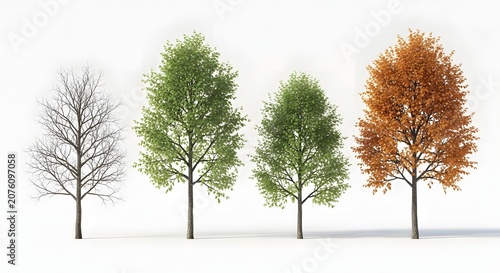 Four seasons tree growth cycle and nature transformation. Environmental change and botanical life stages. Trees showing bare branches, fresh leaves, and autumn foliage in a row