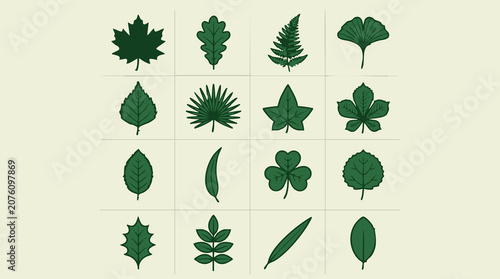 Collection of various green leaves, diverse botanical plant icons set