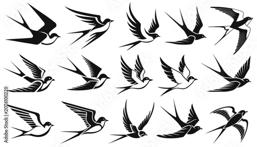 Black and white illustration of swallows in flight.