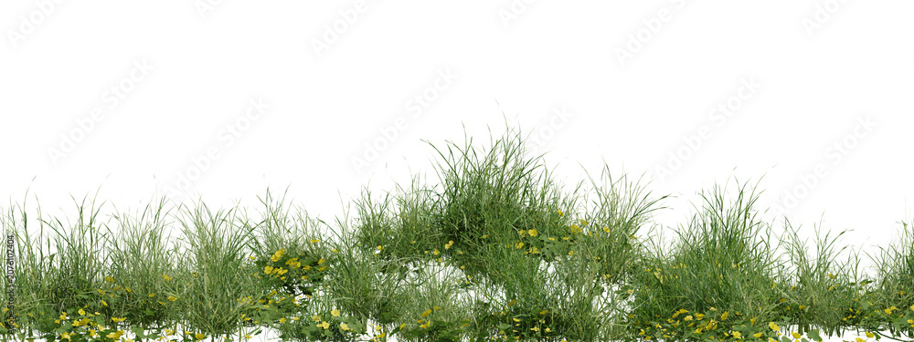 Fototapeta premium 3d render illustration Natural green plant grass vegetation on transparent background