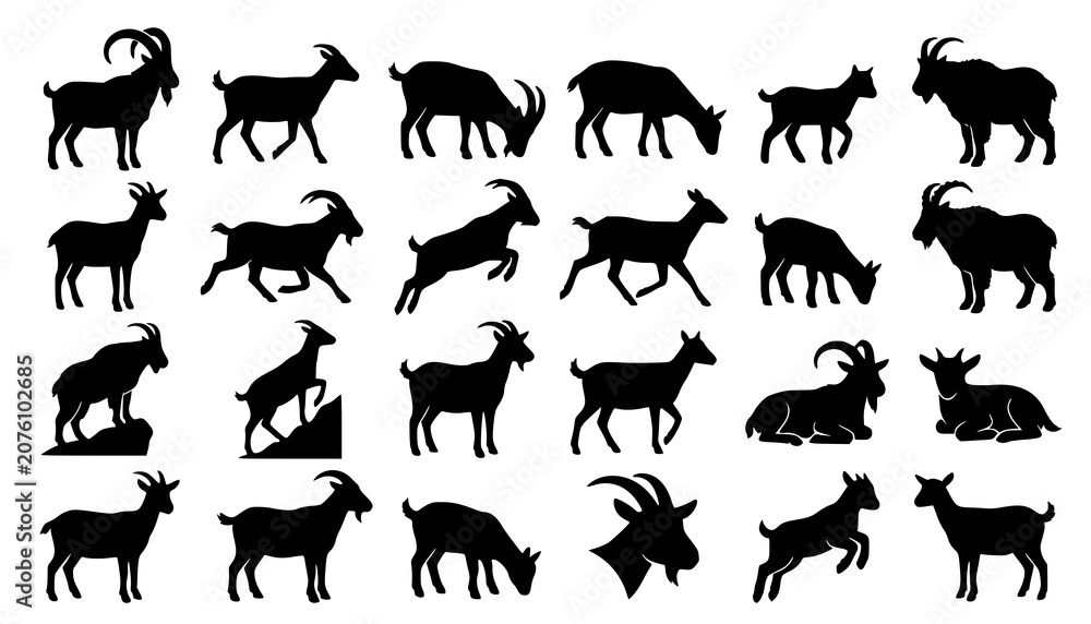 Obraz premium Goat Silhouette Vector Set with Standing Walking Jumping and Grazing Poses