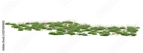 Natural 3d Green Grass Blades On Transparent Background For Botanical Illustration And Design Assets
