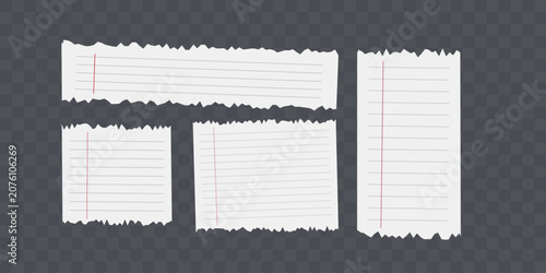 Fotografía Torn lined paper sheets with red margin