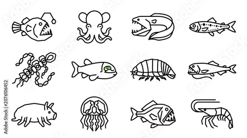 Foto Various sea creatures illustrations 3.