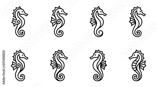 Seahorse Illustrations in Black and White.