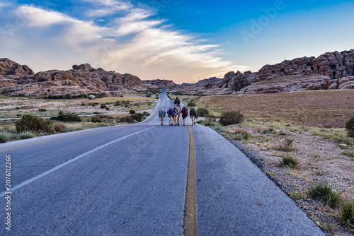 Camels walking along a quiet desert road near Wadi Musa, Jordan, at sunset. The winding road through the rocky landscape creates a peaceful travel scene